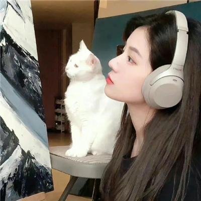 维纳斯的象征